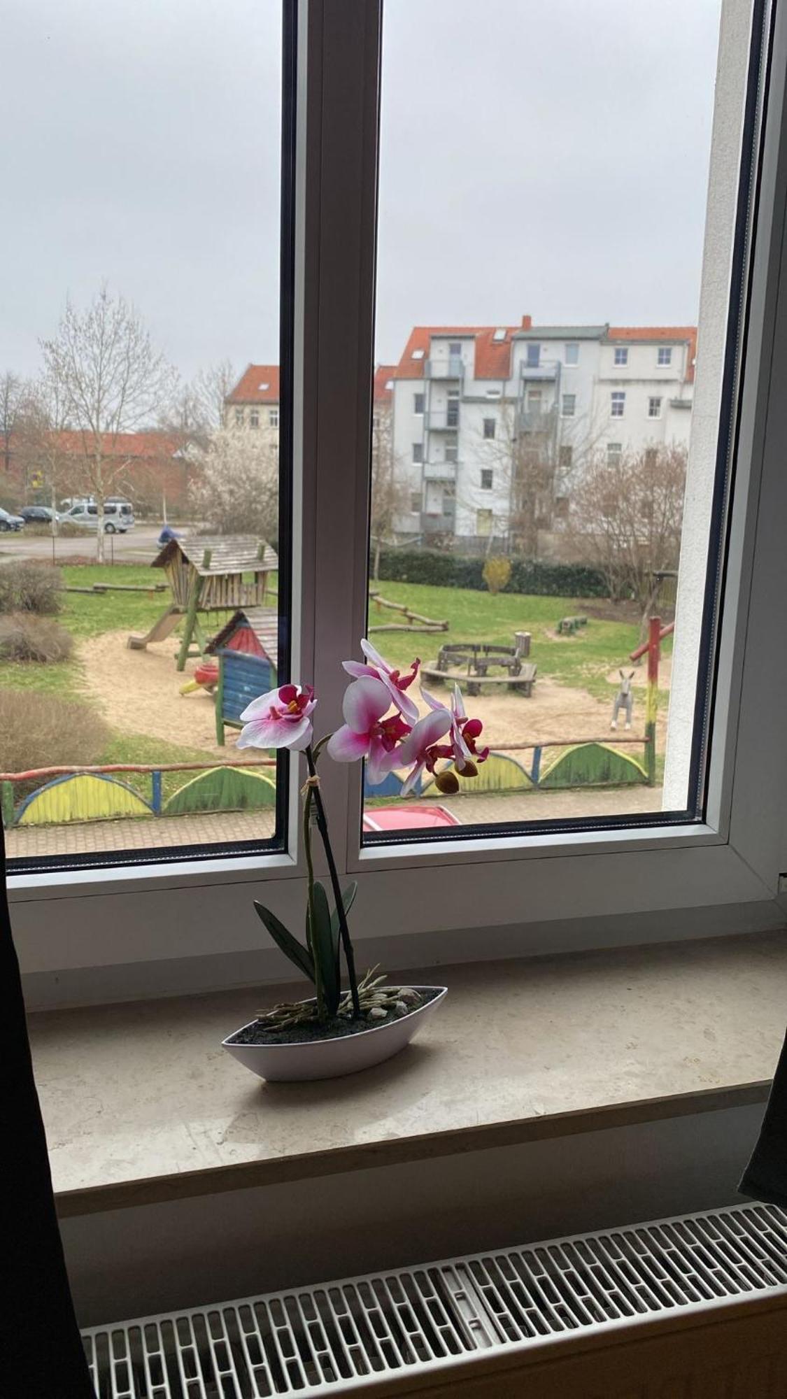 Fewo "Franzi" 5 Personen, Zentrale Lage, Parkplatz Dessau-Rosslau Bagian luar foto